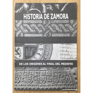 HISTORIA DE ZAMORA. 13 PODER POLITICO. - DE DIOS, Salustiano