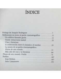 CINE Y LITERATURA (REFLEXIONES A PARTIR DE FLORES DE OTRO MUNDO) 2