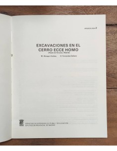 EXCAVACIONES EN EL CERRO ECCE HOMO (ALCALÁ DE HENARES, MADRID) 2