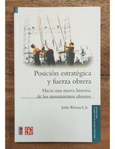 POSICIÓN ESTRATÉGICA Y FUERZA OBRERA: HACIA UNA NUEVA HISTORIA DE LOS MOVIMIENTOS OBREROS