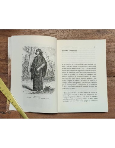 ARAUCANÍA Y SUS HABITANTES