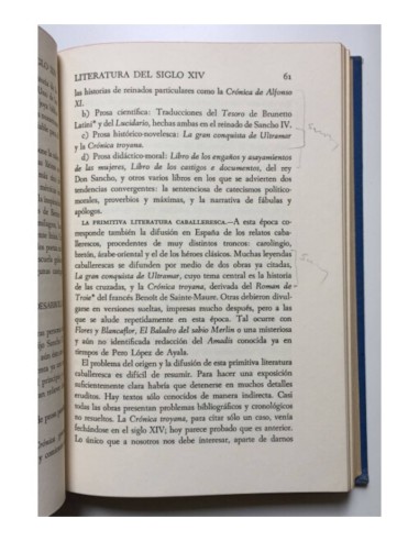 HISTORIA DE LA LITERATURA ESPAÑOLA (DESDE LOS ORÍGENES HASTA 1700. VOL. I: DESDE LOS ORÍGENES HASTA 1700