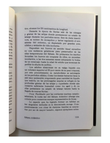 SÁHARA ATLÁNTICO: GUÍA PARA VIAJAR DEL ATLAS AL SAHEL (SÁHARA OCCIDENTAL, MAURITANIA, MARRUECOS, ARGELIA, MALÍ)