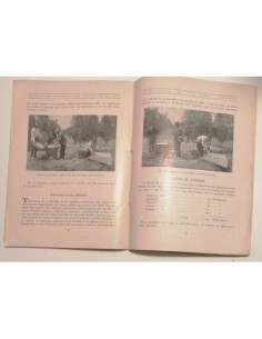 LA CRIANZA DEL GUSANO DE LA SEDA 2