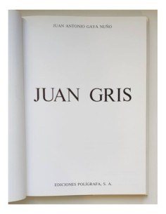JUAN GRIS 2