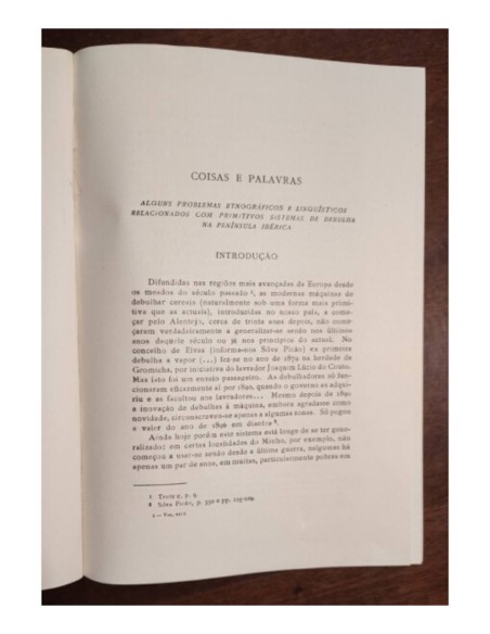 COISAS E PALAVRAS. ALGUNS PROBLEMAS ETNOGRÁFICOS E LINGUÍSTICOS RELACIONADOS COM PRIMITIVOS SISTEMAS DE DEBULHA NA PENÍNSULA IBÉ