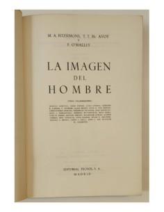 LA IMAGEN DEL HOMBRE 2