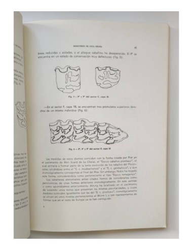 LOS MAMÍFEROS DEL YACIMIENTO MUSTERIENSE DE COVA NEGRA (JÁTIVA, VALENCIA)