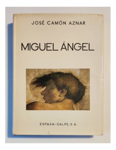 MIGUEL ÁNGEL