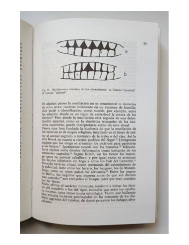 ENSAYOS ETNOGRÁFICOS