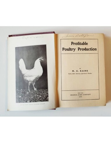 PROFITABLE POULTRY PRODUCTION