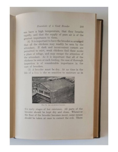 FARM POULTRY: A POPULAR SKETCH OF DOMESTIC FOWLS FOR THE FARMER AND AMATEUR