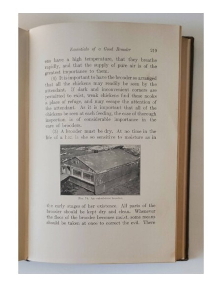 FARM POULTRY: A POPULAR SKETCH OF DOMESTIC FOWLS FOR THE FARMER AND AMATEUR