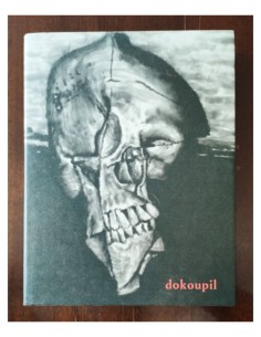 DOKOUPIL. QUERIDO AMANTE DEL ARTE, SOY UN ARTISTA CENTROEUROPEO