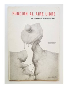 FUNCIÓN AL AIRE LIBRE