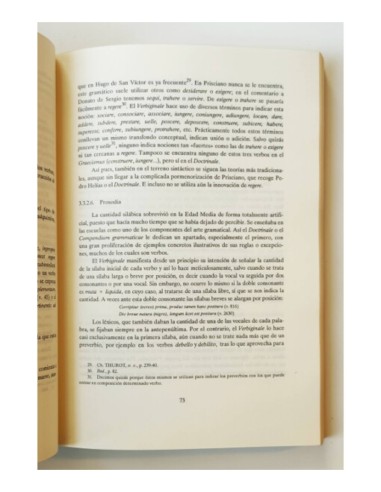 EL VERBIGINALE: UNA GRAMÁTICA CASTELLANA DEL SIGLO XIII (ESTUDIO Y EDICIÓN CRÍTICA)