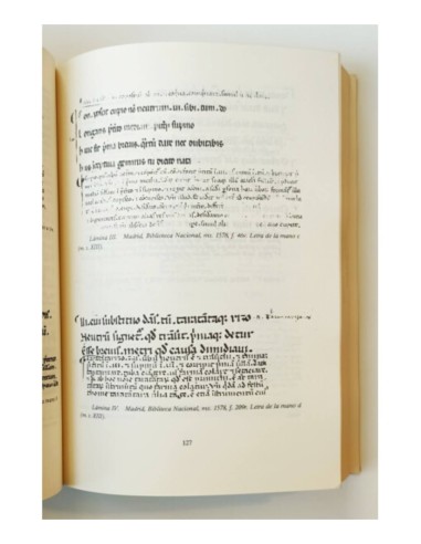EL VERBIGINALE: UNA GRAMÁTICA CASTELLANA DEL SIGLO XIII (ESTUDIO Y EDICIÓN CRÍTICA)