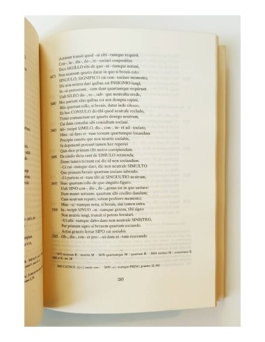 EL VERBIGINALE: UNA GRAMÁTICA CASTELLANA DEL SIGLO XIII (ESTUDIO Y EDICIÓN CRÍTICA)