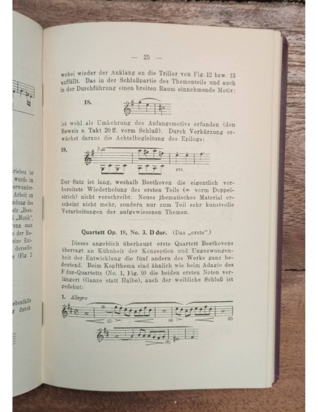 MEISTERFÜHRER Nº12 BEETHOVEN STREICHQUARTETTE (RIEMANN)