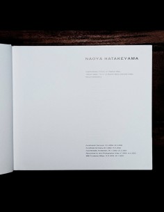 NAOYA HATAKEYAMA 2