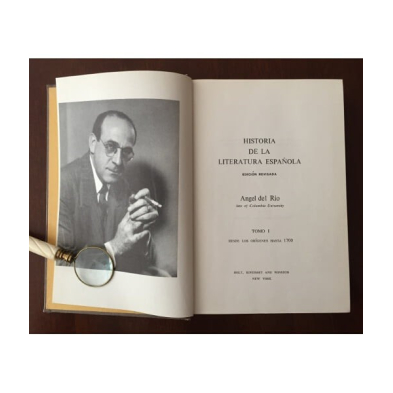 HISTORIA DE LA LITERATURA ESPAÑOLA