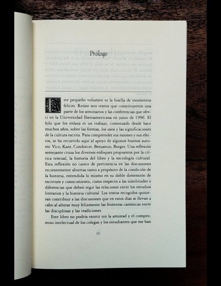 PLUMA DE GANSO, LIBRO DE LETRAS, OJO VIAJERO