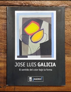 JOSÉ LUIS GALICIA: EL SENTIDO DEL COLOR BAJO LA FORMA