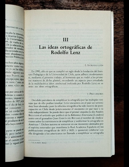 ORTOGRAFÍA Y GRAFÉMICA