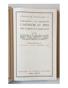 COMENTARIO A LA CONSTITUCIÓN GAUDIUM ET SPES SOBRE LA IGLESIA EN EL MUNDO ACTUAL 2