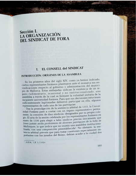 EL SINDICAT DE FORO: CORPORACIÓN REPRESENTATIVA DE LAS VILLAS DE MALLORCA (1315-1834)