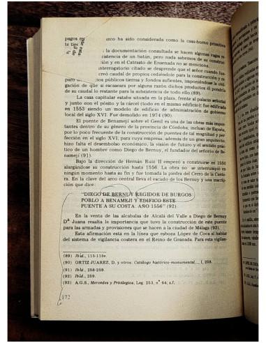 EL SEÑORÍO DE BENAMEJI (SU ORIGEN Y EVOLUCIÓN EN EL SIGLO XVI)