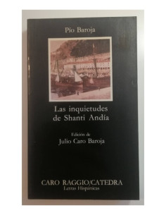 LAS INQUIETUDES DE SHANTI ANDÍA