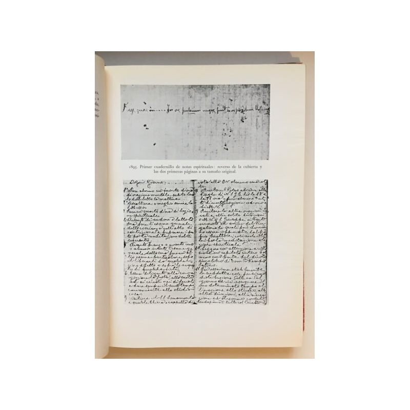 DIARIO DEL ALMA