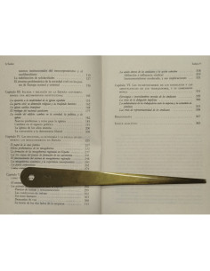 LA PRIMACIA DE LA SOCIEDAD CIVIL 2
