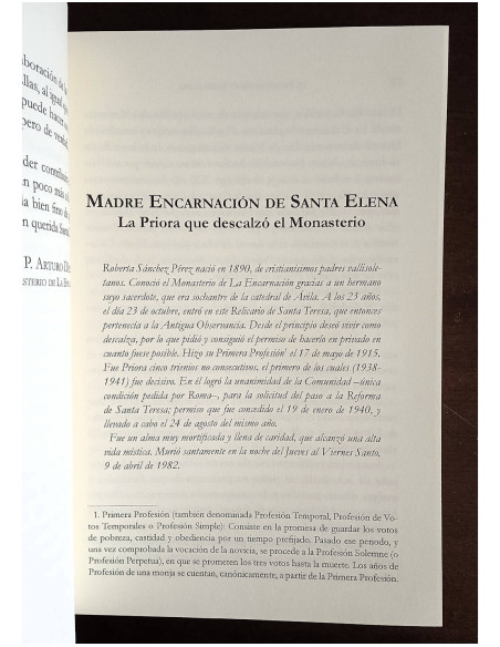 VIDAS EDIFICANTES. HISTORIAS DE CARMELITAS REFLEJO DE SANTA TERESA