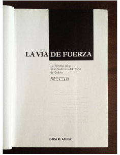 LA VÍA DE FUERZA: LA PRÁCTICA EN LA REAL AUDIENCIA DEL REINO DE GALICIA, SIGLOS XVII - XVIII 2
