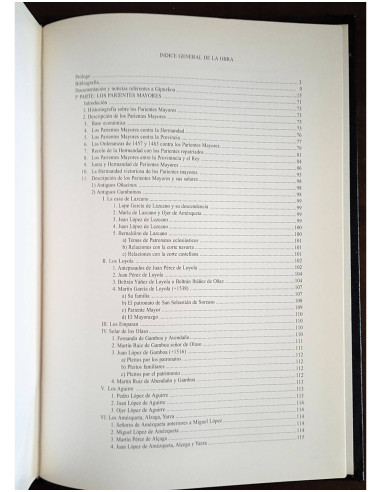 INSTITUCIONES DE GIPUZKOA Y OFICIALES REALES EN LA PROVINCIA (1491 - 1530)