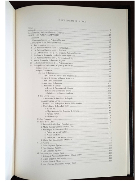 INSTITUCIONES DE GIPUZKOA Y OFICIALES REALES EN LA PROVINCIA (1491 - 1530)