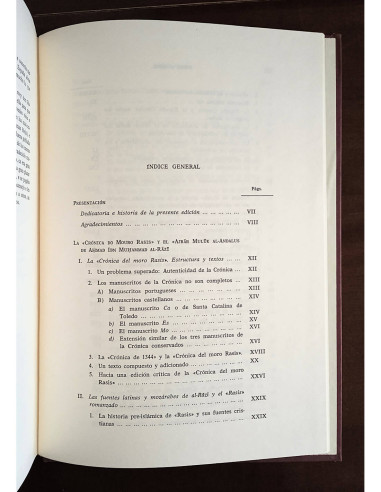 CRÓNICA DEL MORO RASIS