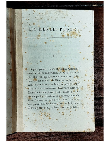 LES ILES DES PRINCES