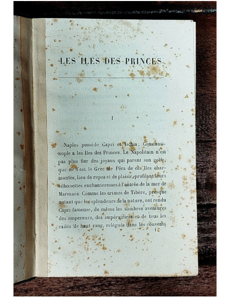 LES ILES DES PRINCES