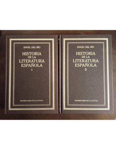 HISTORIA DE LA LITERATURA ESPAÑOLA. 2 TOMOS