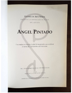 ÁNGEL PINTADO 2