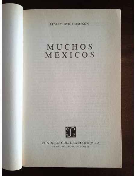 MUCHOS MÉXICOS