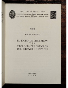 EL ÍDOLO DE CHILLARÓN Y LA TIPOLOGÍA DE LOS ÍDOLOS DEL BRONCE I HISPANO 2