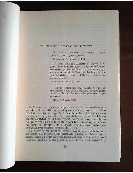 DE SARMIENTO A CORTAZAR