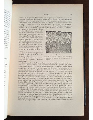 TRATADO DE PATOLOGÍA INTERNA I: ENFERMEDADES INFECCIOSAS Y PARASITARIAS - ENFERMEDADES DEL TUBO DIGESTIVO