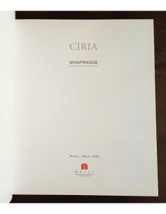 CIRIA: MONFRAGÜE, EMBLEMAS ABSTRACTOS SOBRE EL PAISAJE 2