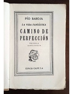 CAMINO DE PERFECCIÓN 2