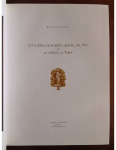 LAS IGLESIAS DE NUESTRA SEÑORA DEL PINO Y LAS ERMITAS DE TEROR 2
